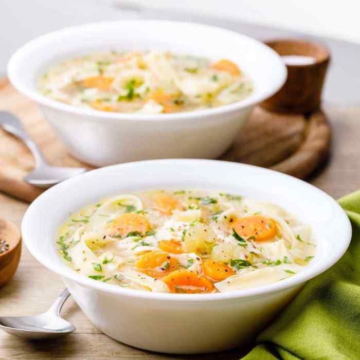 Instapot chicken noodle soup recipe