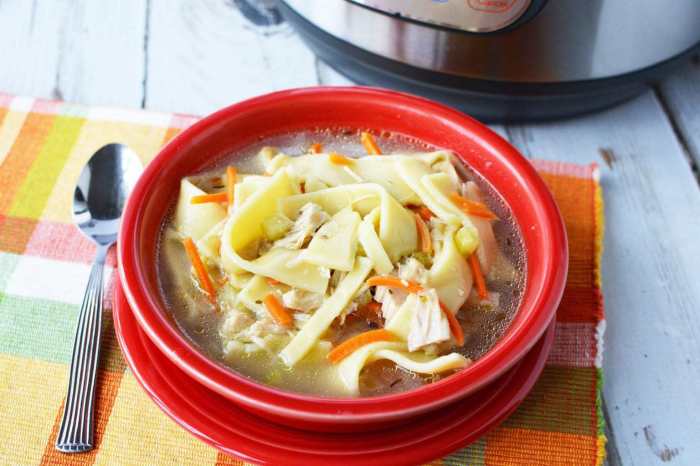 Instapot chicken noodle soup recipe