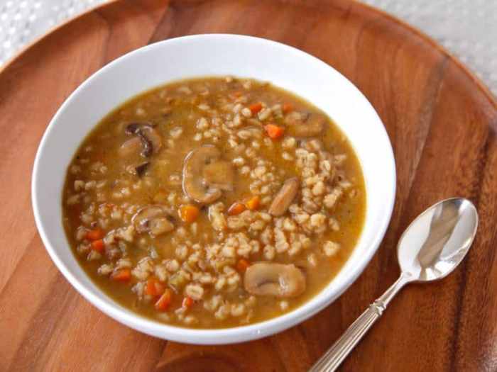 Mushroom barley soup recipes